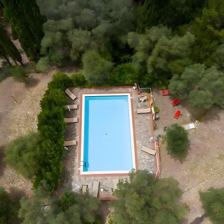 Villa I Tigli Campiglia Marittima Kültér fotó