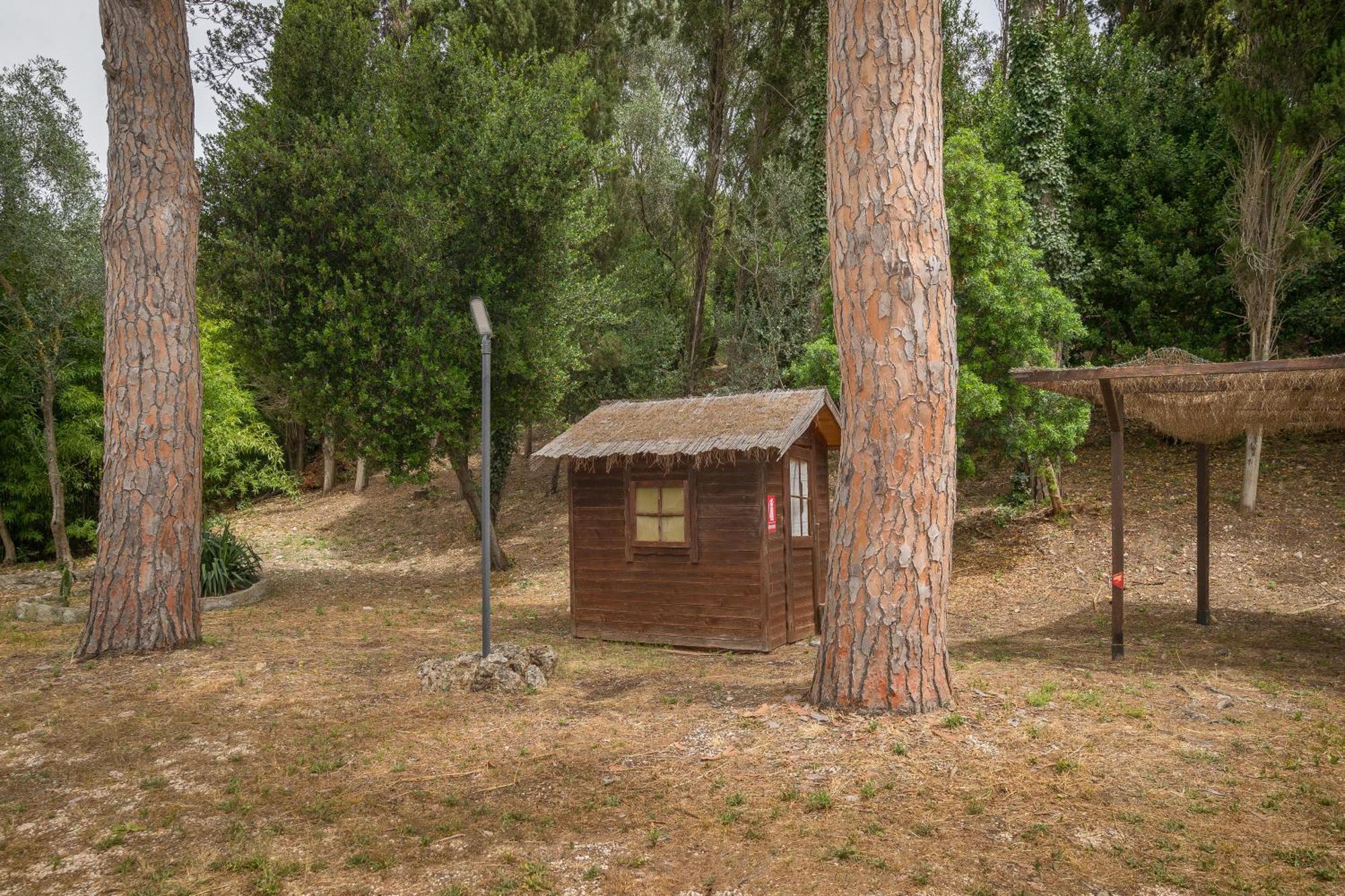 Villa I Tigli Campiglia Marittima Kültér fotó