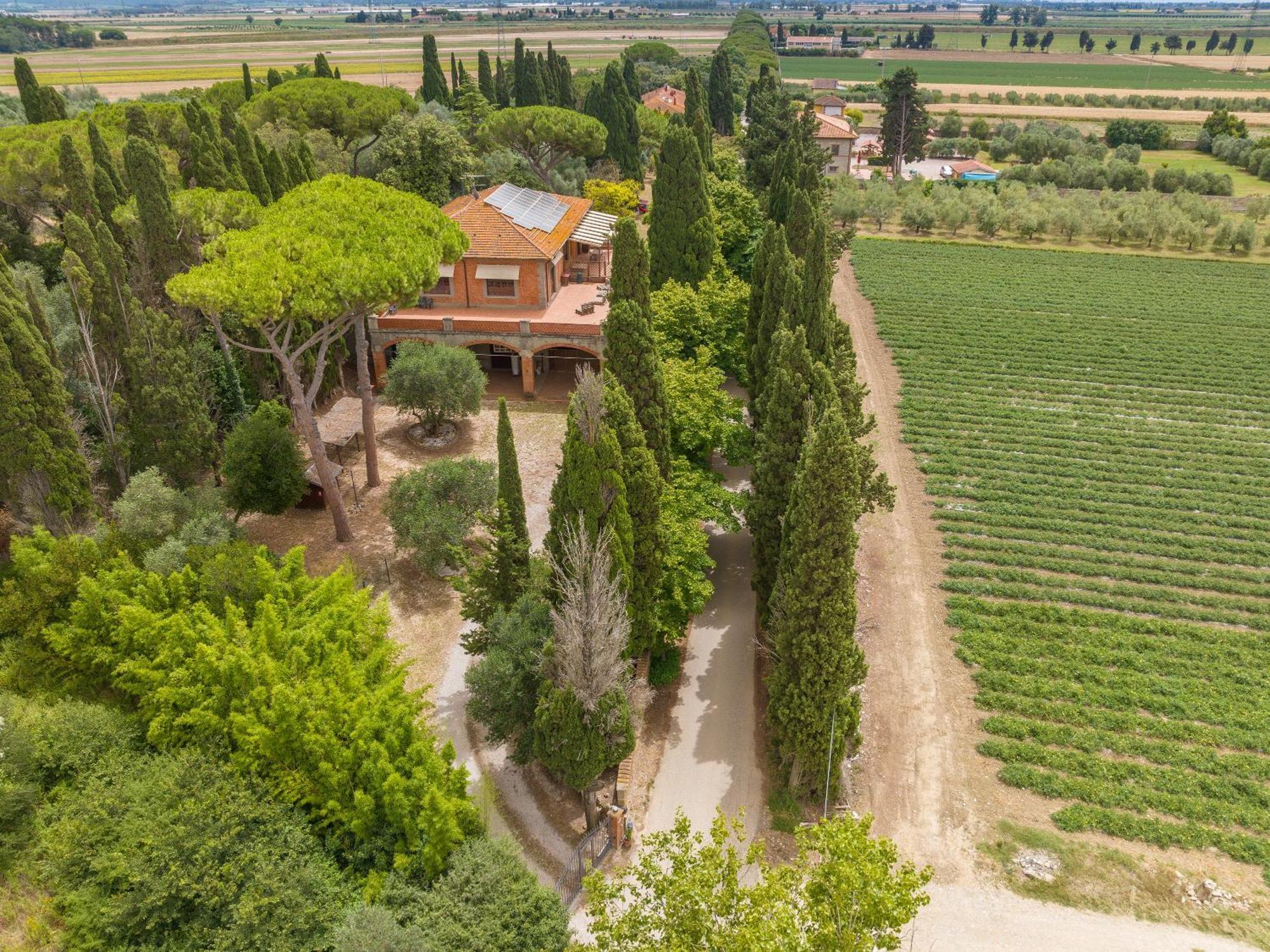 Villa I Tigli Campiglia Marittima Kültér fotó