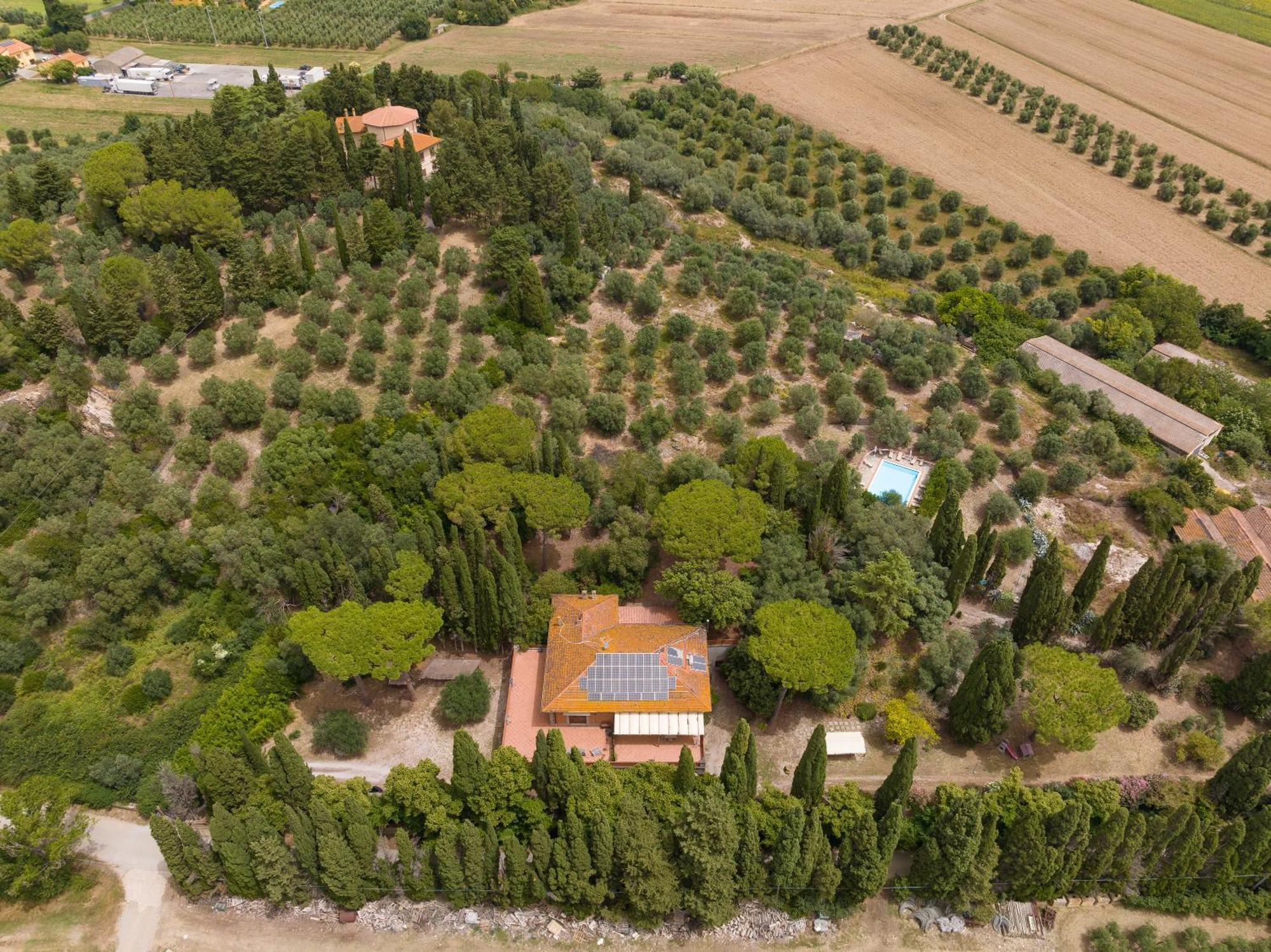 Villa I Tigli Campiglia Marittima Kültér fotó