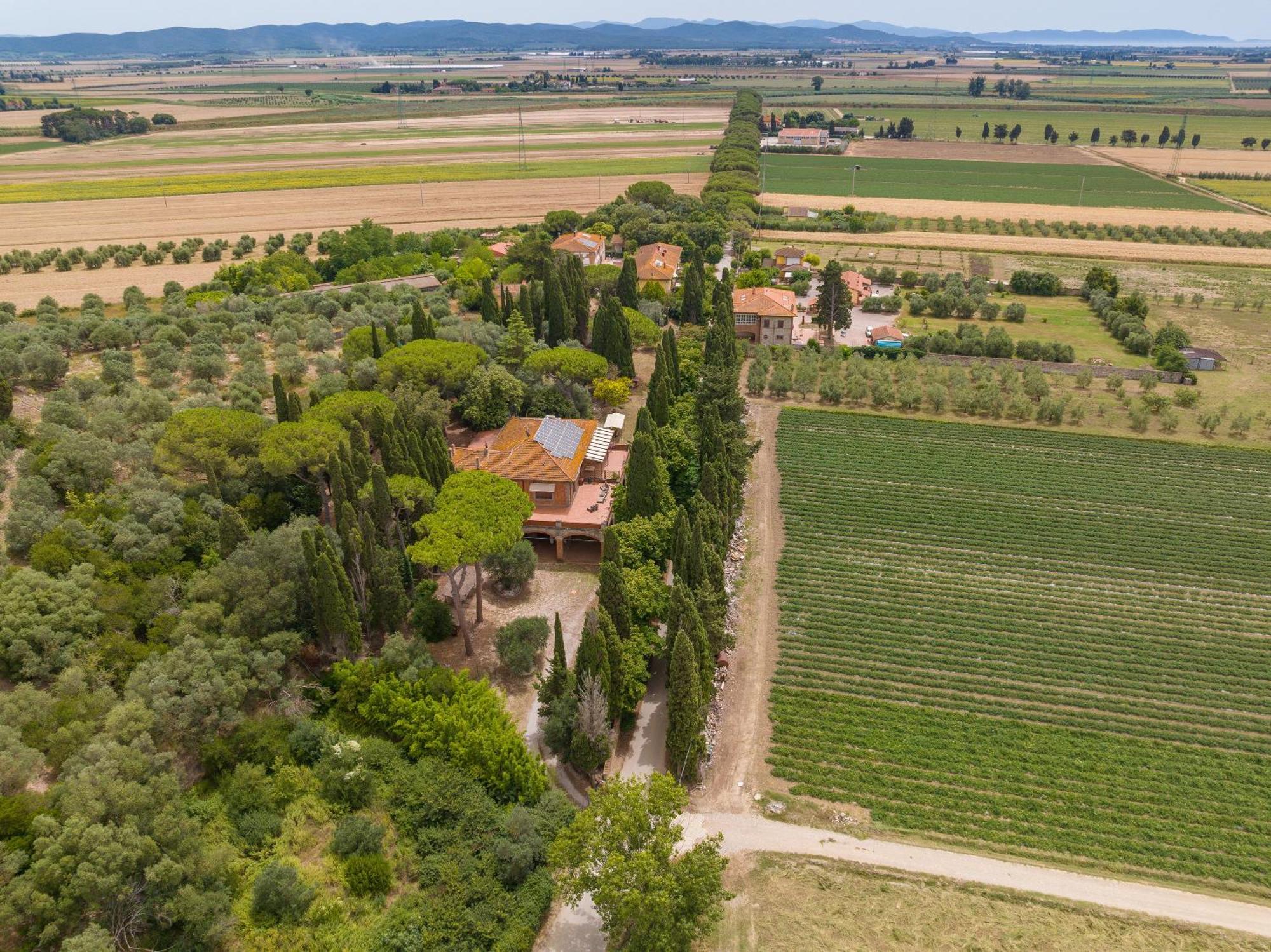 Villa I Tigli Campiglia Marittima Kültér fotó