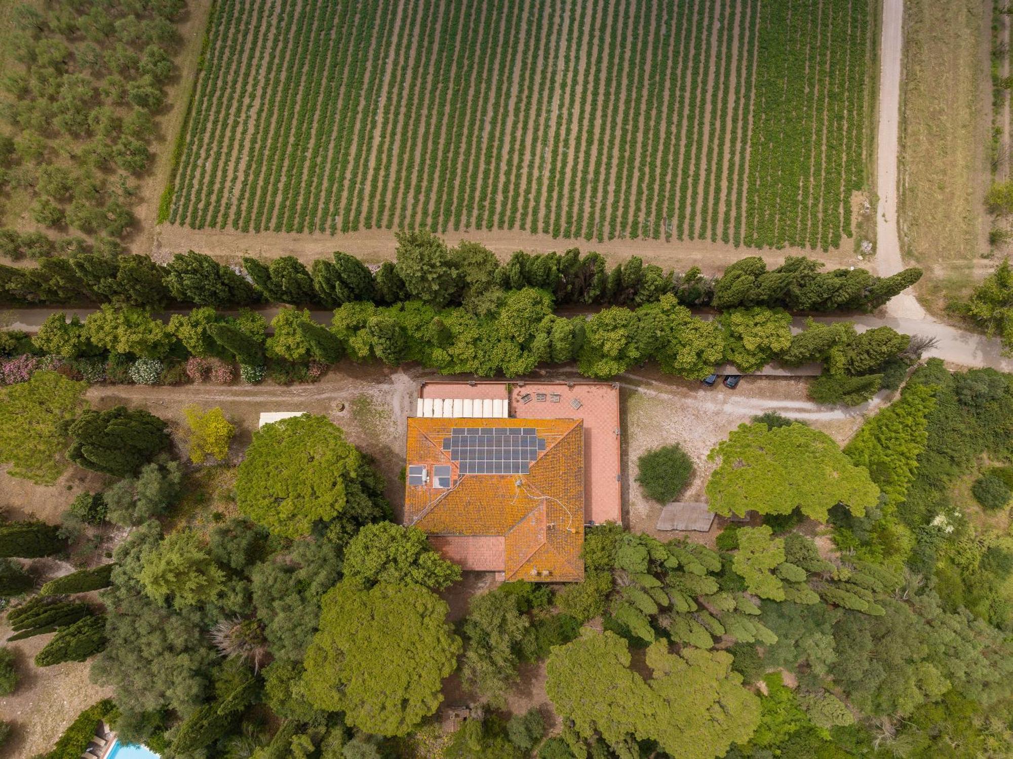 Villa I Tigli Campiglia Marittima Kültér fotó