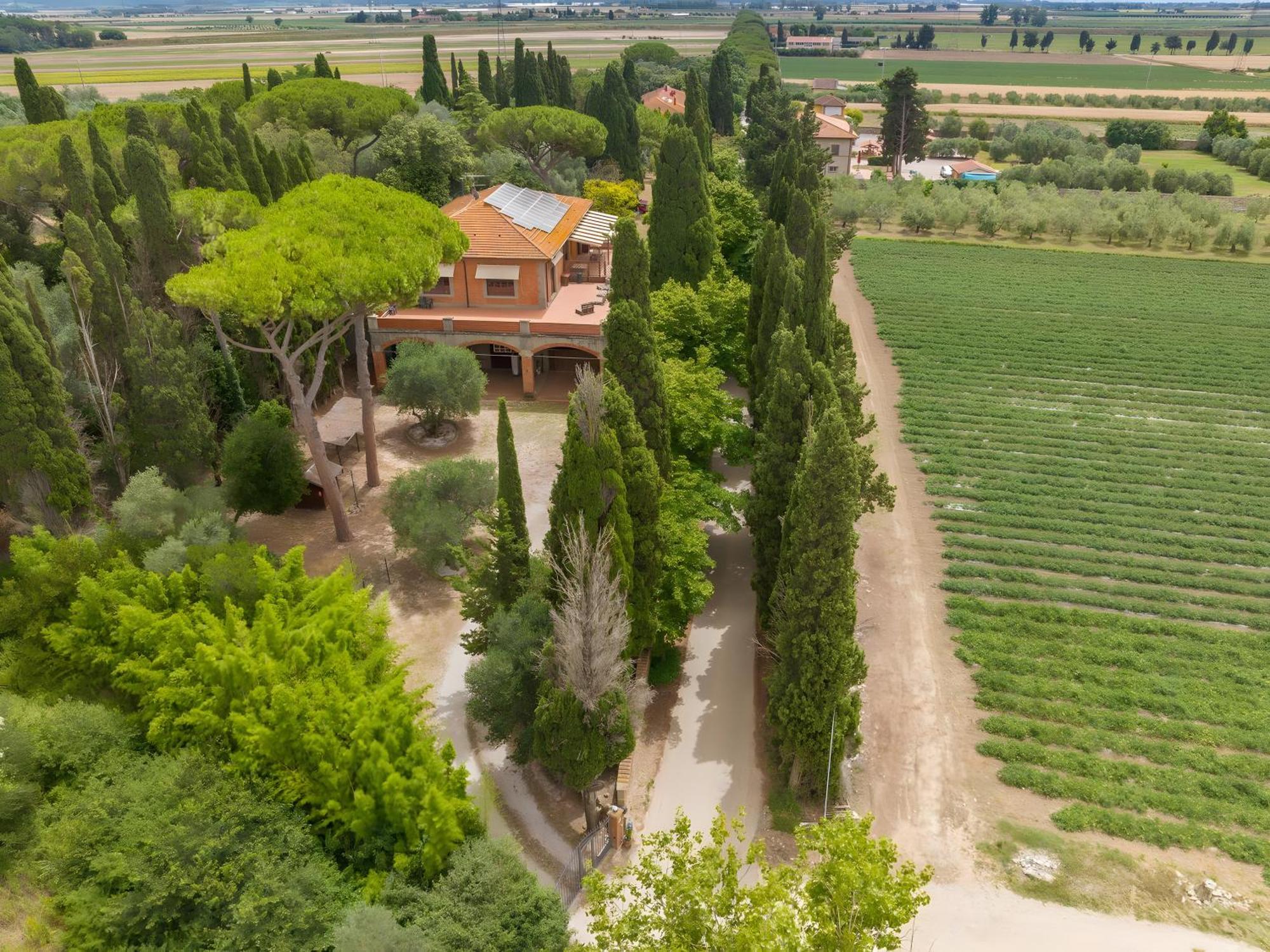 Villa I Tigli Campiglia Marittima Kültér fotó